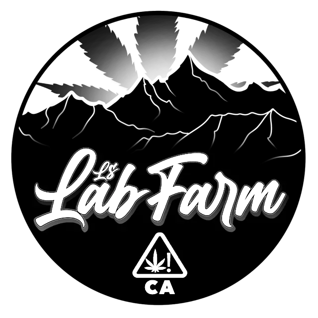 Illustration_sans_titre (4).webp