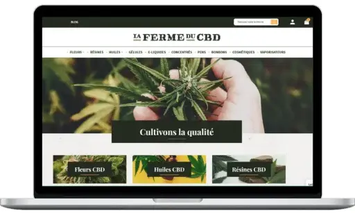 Site Web